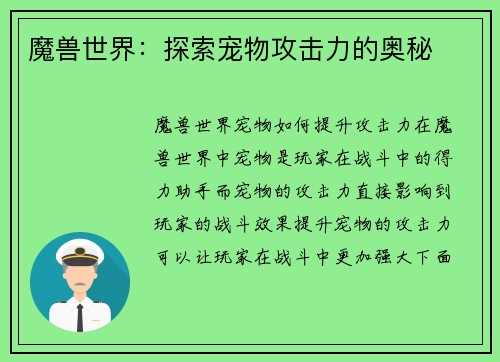 魔兽世界：探索宠物攻击力的奥秘